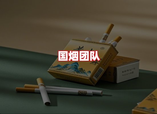 国烟团队